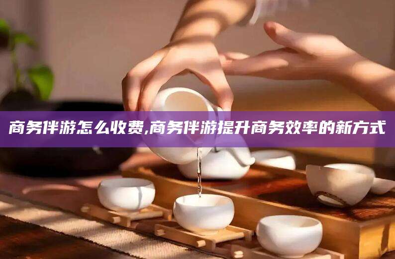 松滋商务伴游怎么收费,商务伴游提升商务效率的新方式
